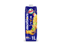 amita_motion_1l