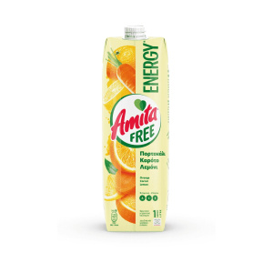 amita_free_energy_1l