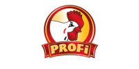 profi_logo