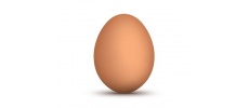 Αυγά 73-83 XL