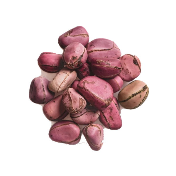 Καρπός kola (NOCI DI COLA) 100g